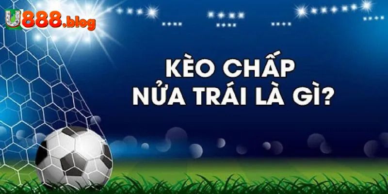 Cách bắt kèo chấp 0.5